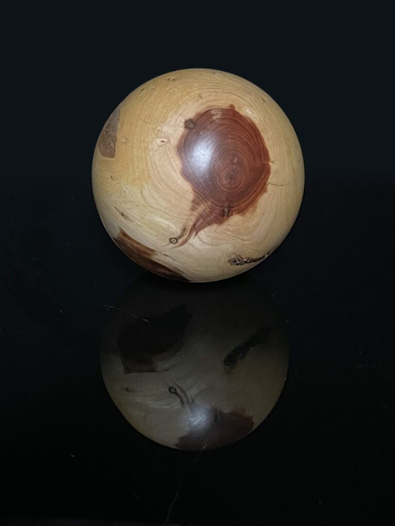 Genévrier de Virginie / Virginia Wachholder